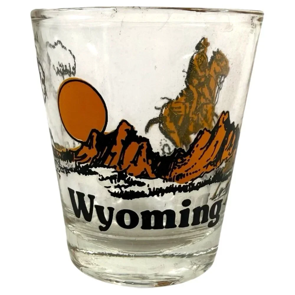 5 VTG Shot Glasses State Theme New Hampshire Washington Colorado‎ Oregon Wyoming
